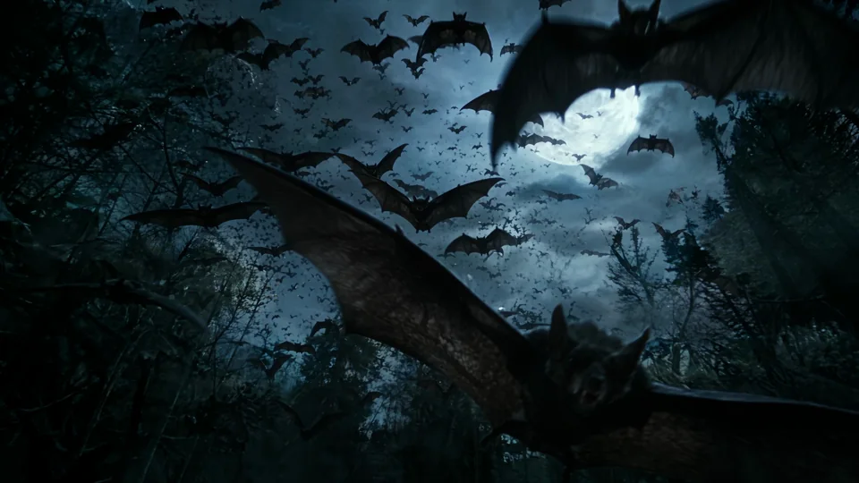 A swarm of bats crosses a moonlit forest canopy. Branches and deep blue shadows frame the flight.